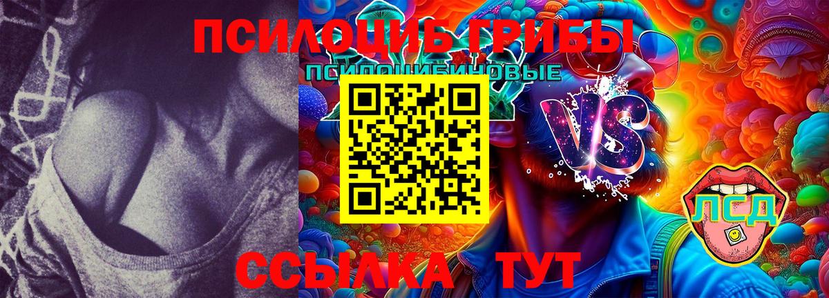Ростов-на-Дону  Псилоцибиновые грибы GOLDEN TEACHER  Вход с VPN 