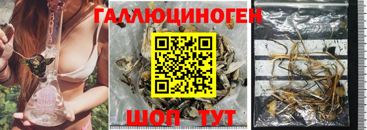 Псилоцибиновые грибы MAGIC MUSHROOMS Ростов-на-Дону